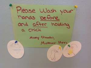 Message from Mother Hen