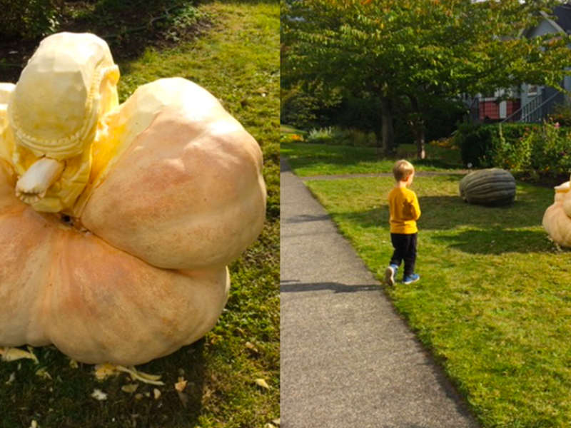 Giant Alien Pumpkin Comes to&nbsp;Queensbury