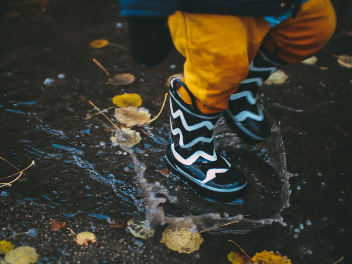 I spy with my little eye: Fall&nbsp;edition