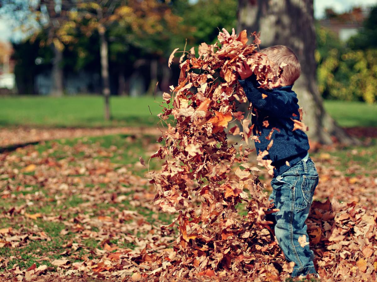 5 Fall activities to do with your&nbsp;preschooler
